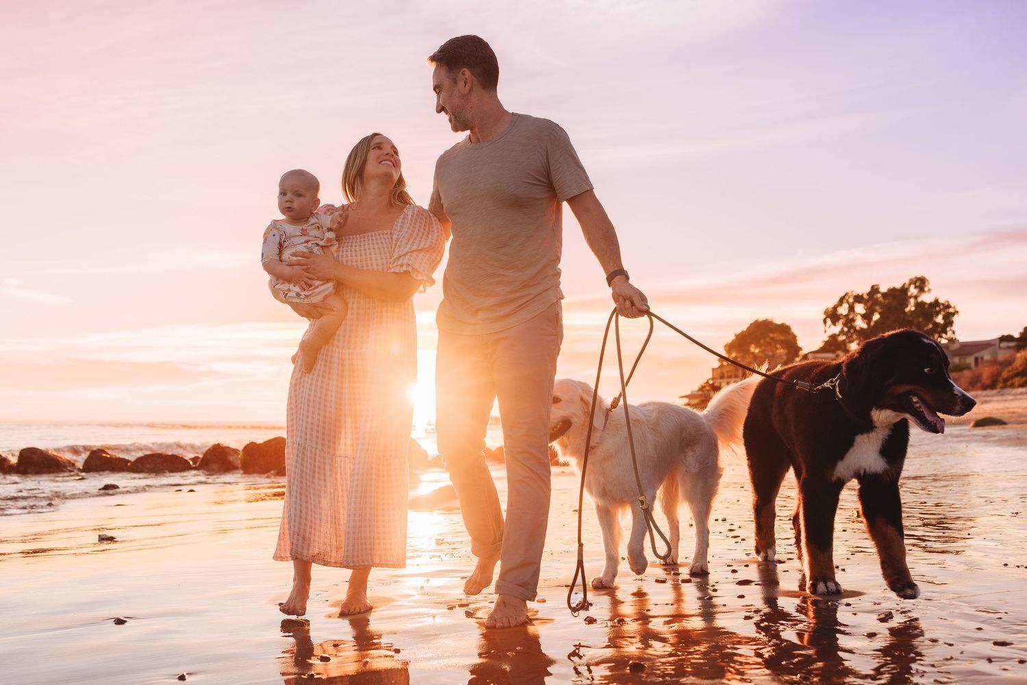 Family walking with dog on beach at sunset casting long shadows on wet sand during golden hour.