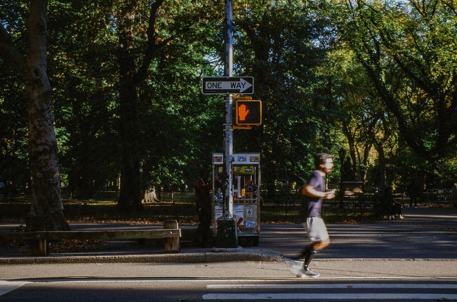 Person jogging past a crosswalk signal in Central Park on a sunny day.