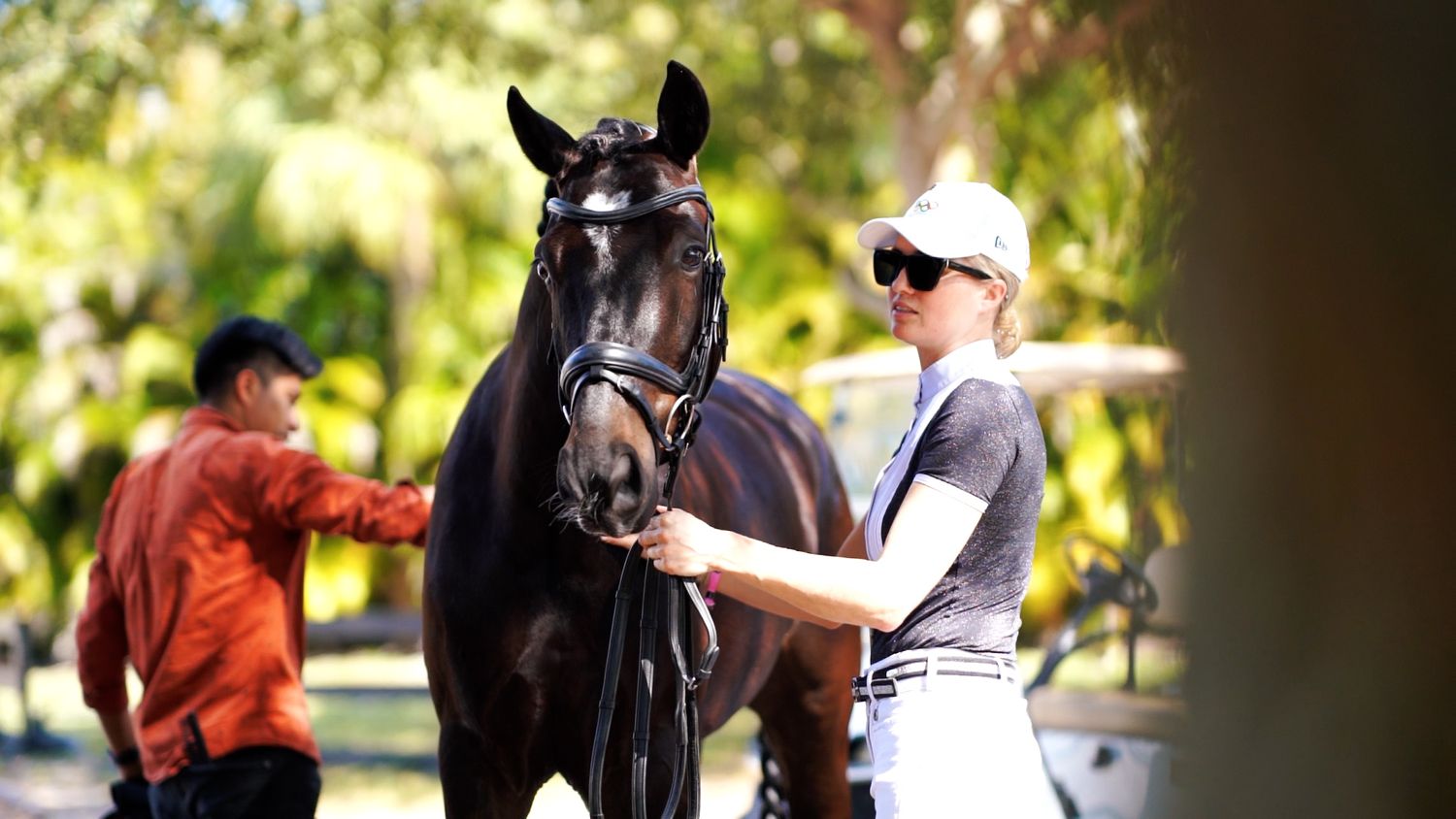 Handlers attending to black horse during outdoor training or grooming session.