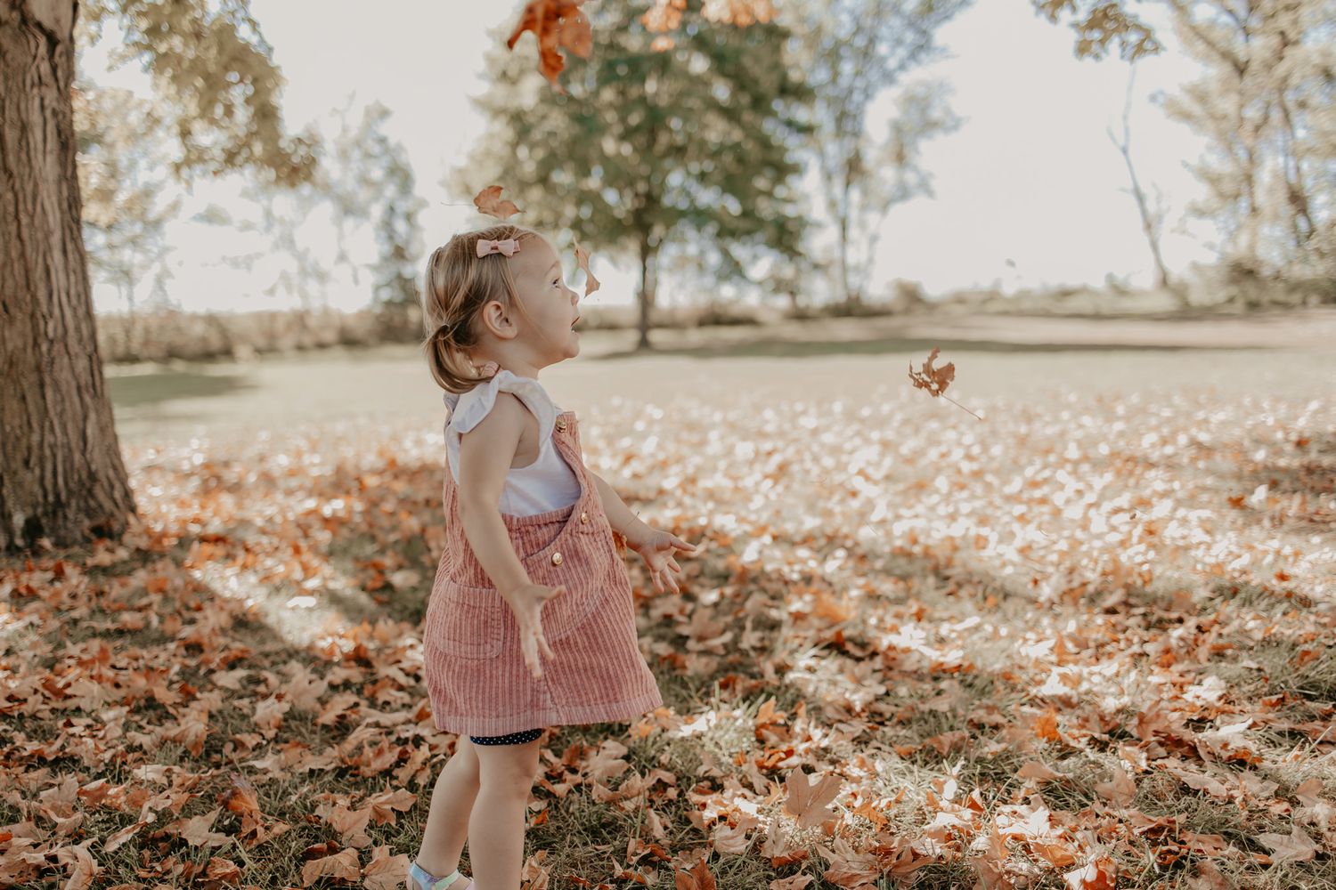 Small child in a pink pinafore dress gazes upward at autumn leaves falling in a sunlit park with scattered foliage.