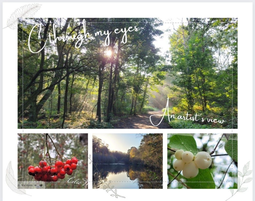landscape photography collage