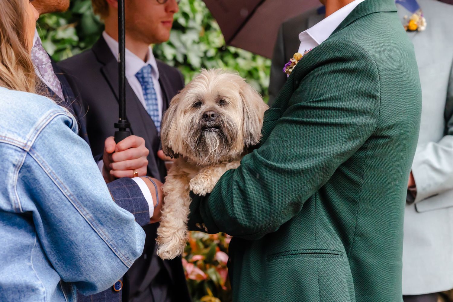 Cumbria wedding photographer - couple dog having a cuddle