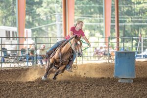 A barrel racer in a pink shirt guides their horse around a blue barrel in a dirt arena during a rodeo competition.