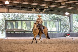 A rider in western attire guides a brown horse through an indoor riding arena with natural lighting.