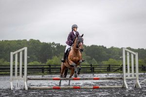 Equestrian rider and horse leaping over white show jumping poles in rainy conditions on a muddy course.