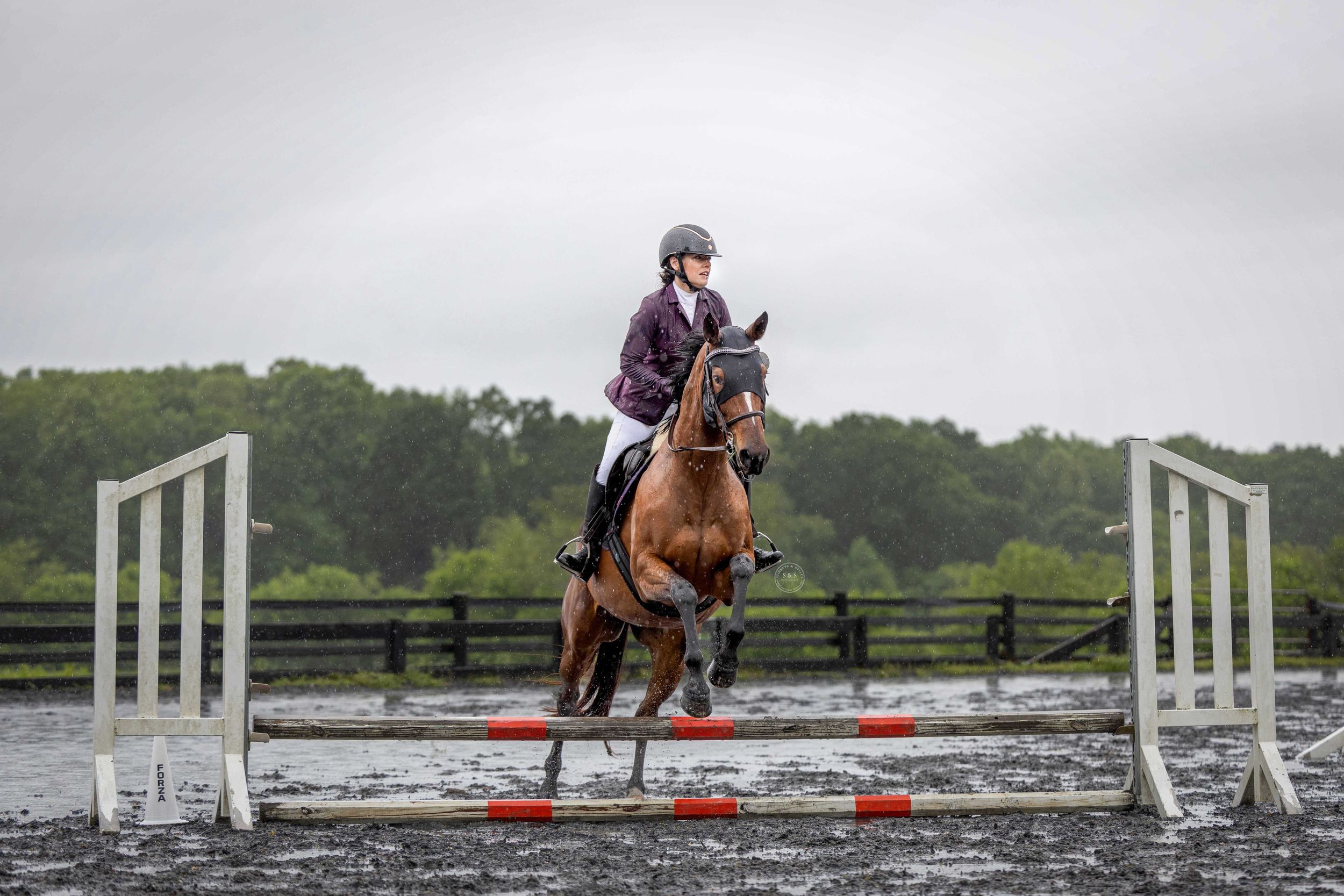 Equestrian rider and horse leaping over white show jumping poles in rainy conditions on a muddy course.