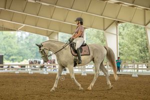 A person leads a white horse in a circular indoor riding arena during equestrian training.