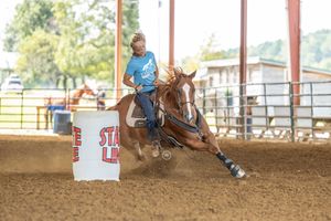 Horse and rider demonstrate precise barrel racing techniques in an outdoor arena during a rodeo competition.