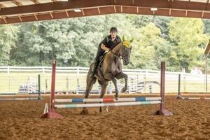 Rider performing equestrian exercises in a covered arena with brown dirt footing and wooden fencing.