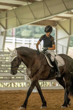 Collage of four equestrian photos showing horses and riders practicing dressage movements in an indoor arena.