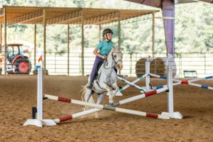 A rider jumps a gray horse over white poles at an indoor equestrian arena with a red tractor visible in the background.