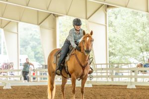 A rider practices equestrian exercises on a chestnut horse in an indoor arena during training.