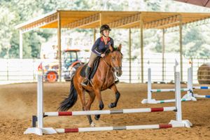 Equestrian rider guides brown horse over white jump poles in covered arena during training session.