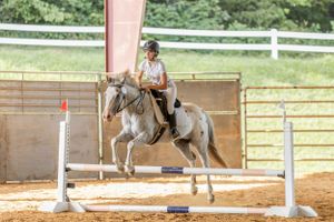 A rider practices jumping over poles in a sandy arena with wooden fencing and green surroundings.