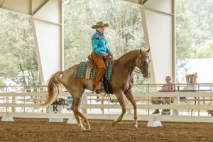 Five consecutive shots show a horse and rider executing a reining maneuver in an indoor arena during practice.