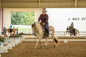 A western rider in brown attire guides a palomino horse through a covered indoor arena during competition.