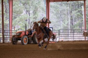 Barrel Racing Photographer
