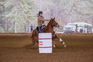 Horse Show Photographer
