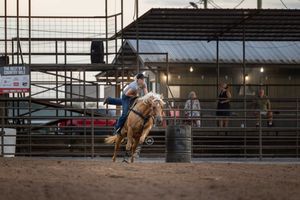 A rodeo rider competes in bull riding at a nighttime arena event with spectators watching from the stands.