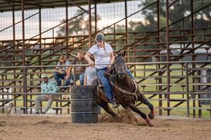 A person rides a horse alongside metal gates in a dusty rodeo arena while practicing roping skills during training.