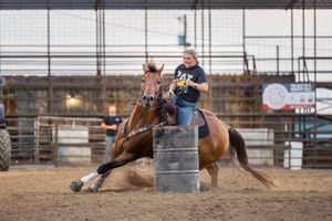 Two horses racing around metal barrels in a rodeo arena during a timed barrel racing competition.