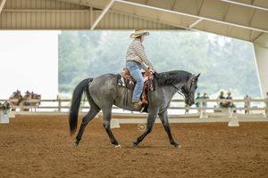 Sequence of rodeo action shots showing horse training and riding maneuvers in a sandy arena.
