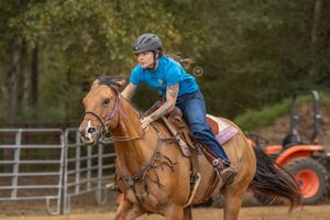 A person rides a chestnut horse at a gallop through an outdoor arena during training or practice.