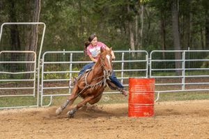 Horse and rider navigate around red barrel during competitive barrel racing event at outdoor arena.