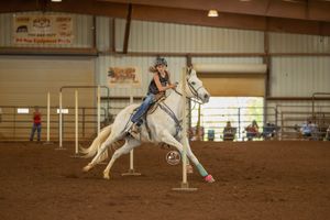 A dog and handler navigate through agility course poles in an indoor arena during competition training.