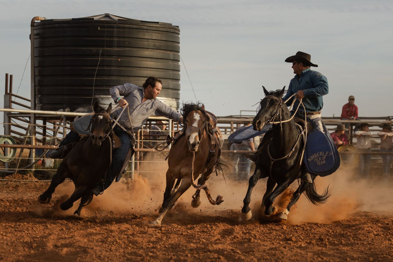 Three cowboys chase cattle in a dusty arena during team roping event.
