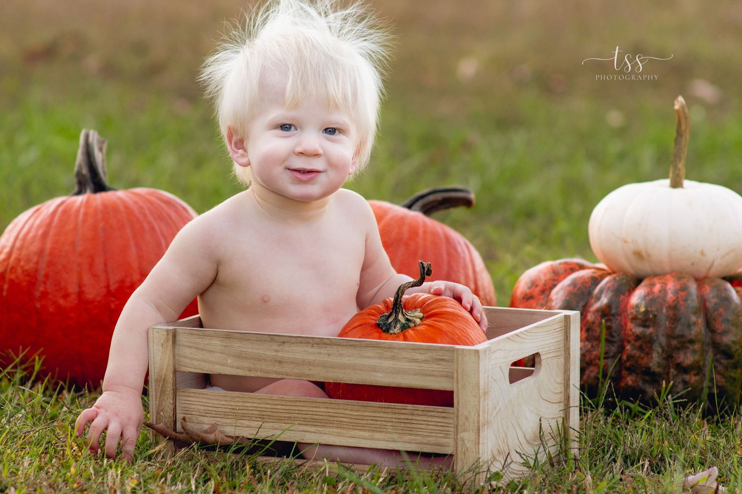 Smiling toddler sitting in wooden crate with large orange pumpkins in grassy setting.