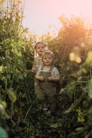Children playing outdoors among tall garden plants during golden sunset hour.