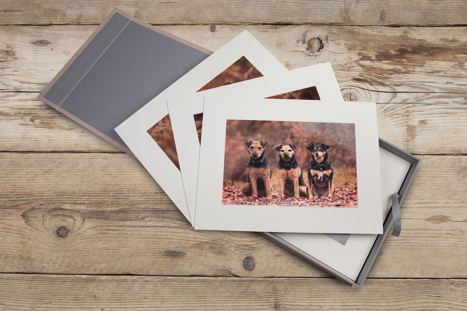 Stack of pet photographs in white mats on rustic wooden surface.