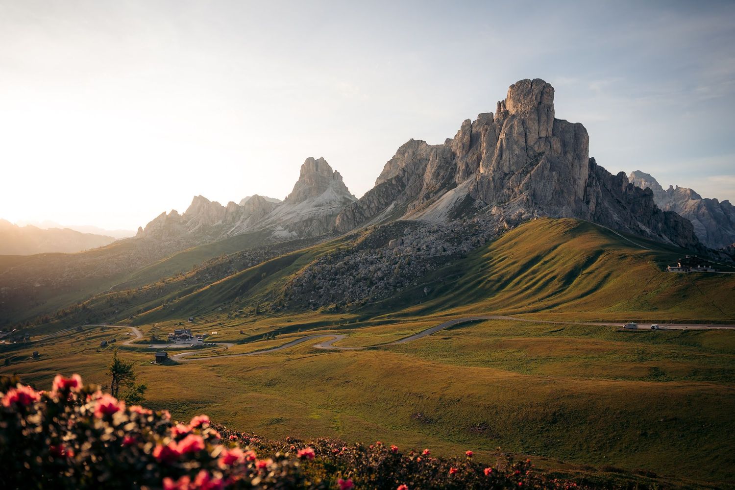 coucher de soleil sur le passo giau avec fleurs au premier plan