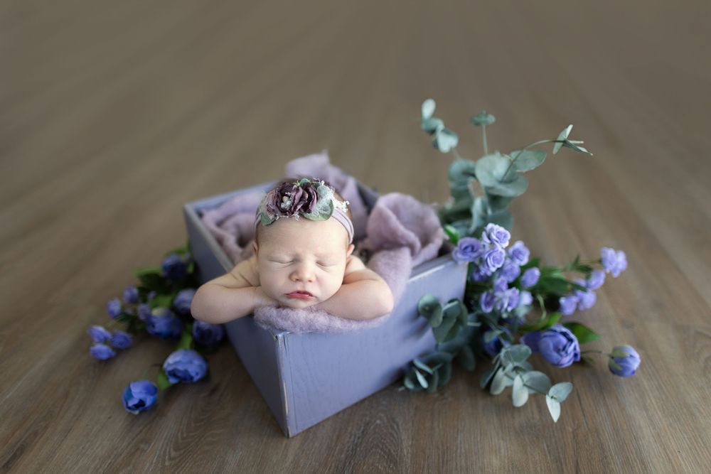 Newborn sleeping in purple box surrounded by delicate blue flowers and eucalyptus. Photos by Tampa Photographer DigitalMyst Photography