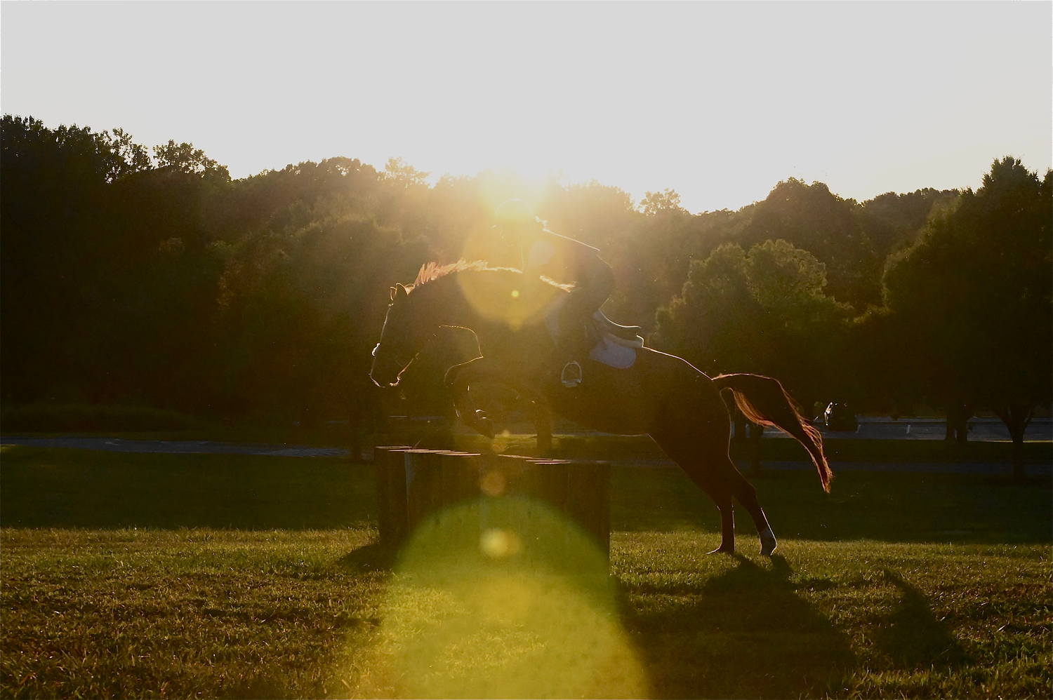 a chestnut horse and rider jump a xc obstacle