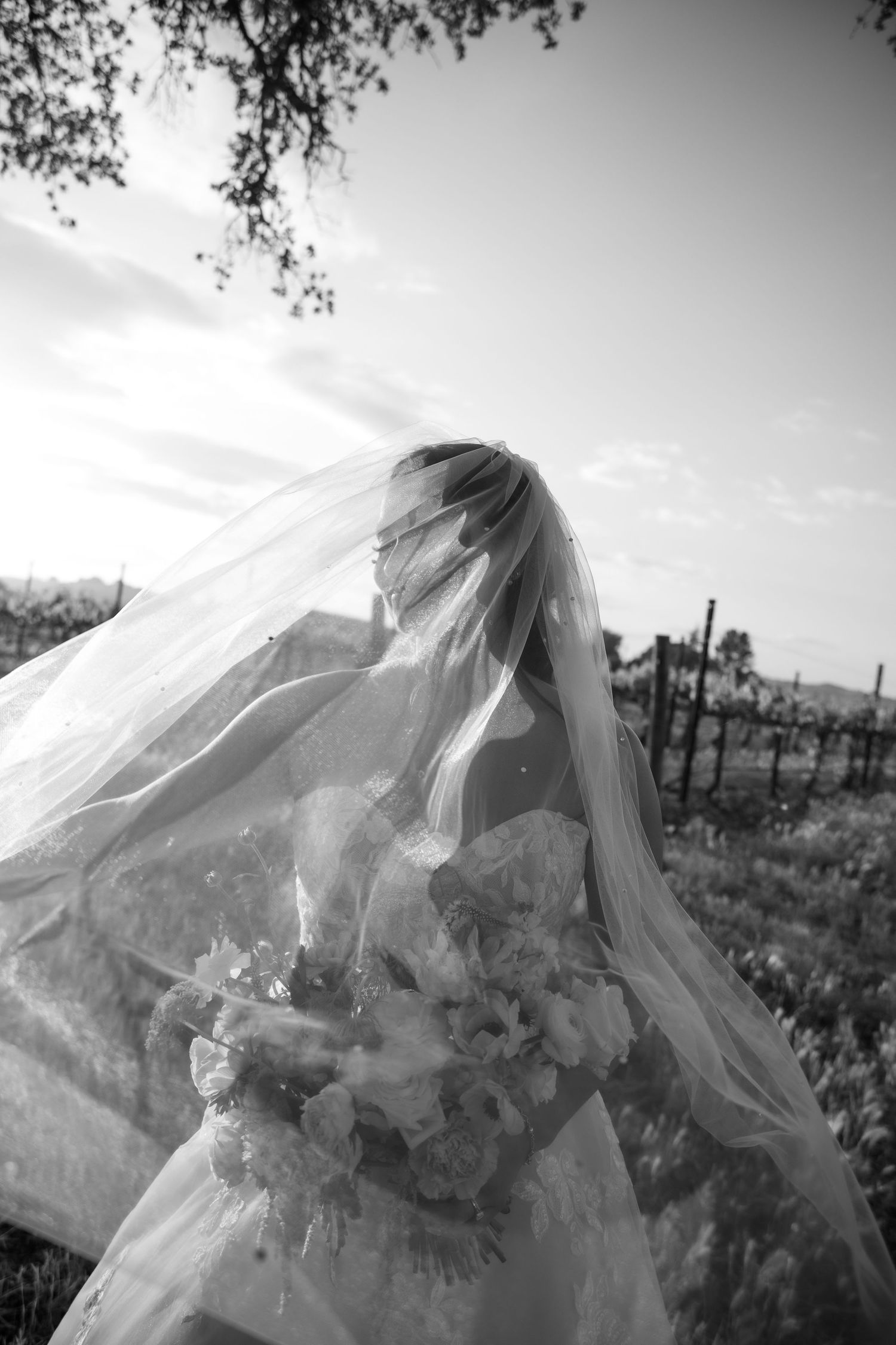 Ethereal bridal portrait with flowing veil against vineyard landscape in black and white.