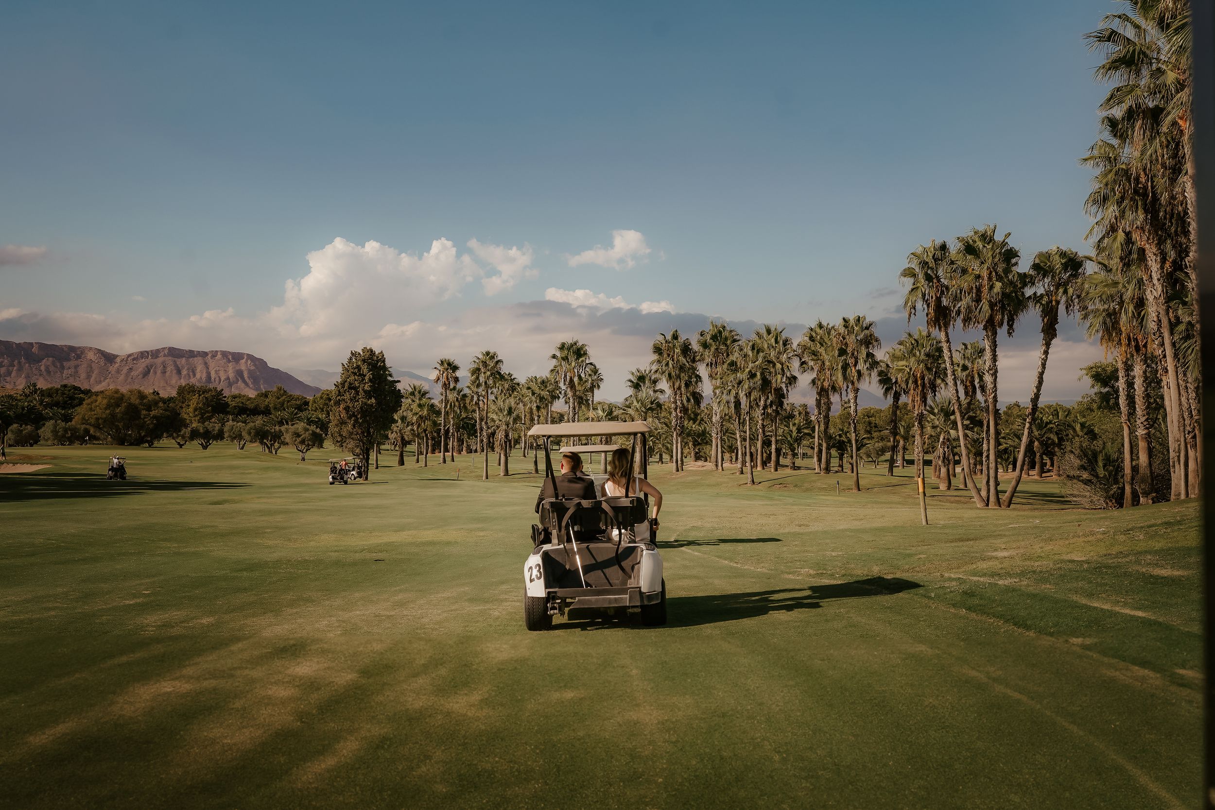 Golf course landscape with palm trees and desert mountains in the background under blue sky.