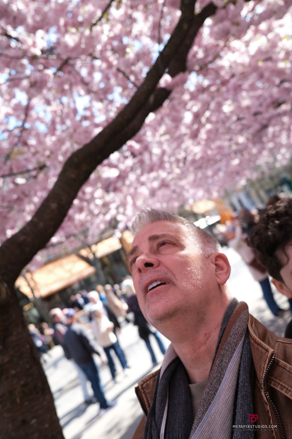 Metapixels Photography
Copyright Image 2025
Stockholm Cherry Blossoms