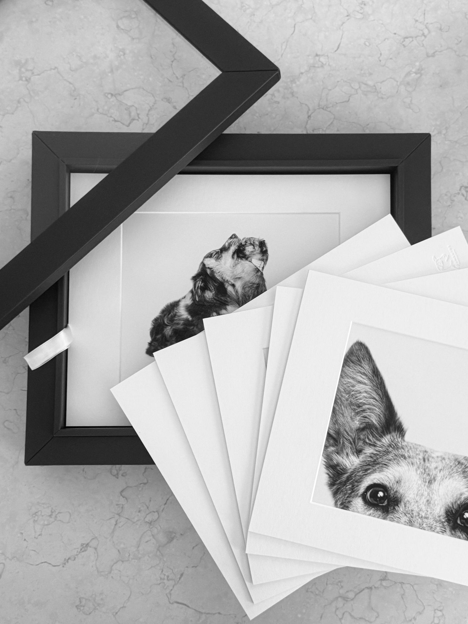 Black photo frame and scattered prints featuring artistic black and white dog portraits on a light textured surface.