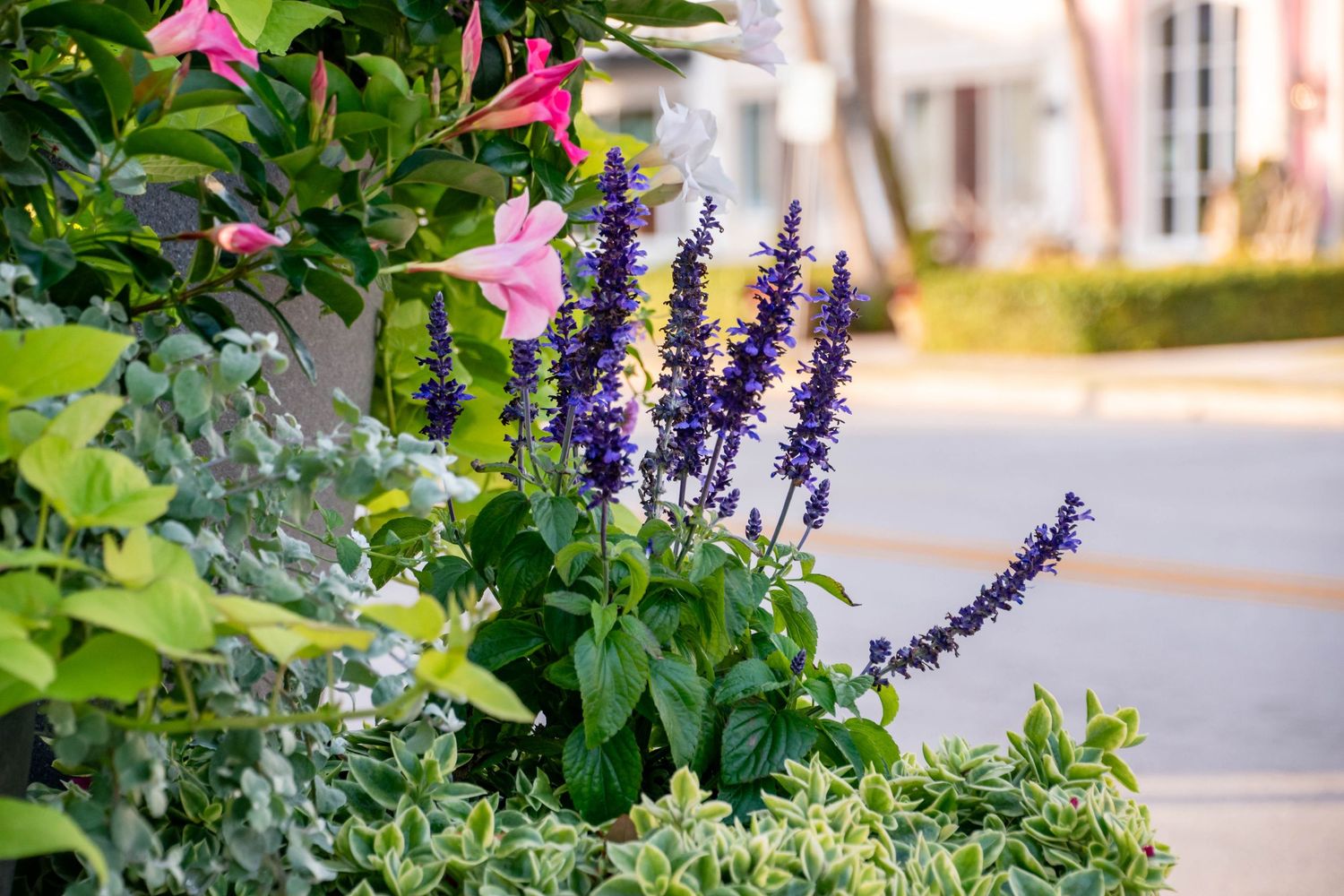 nature photography Vero Beach FL