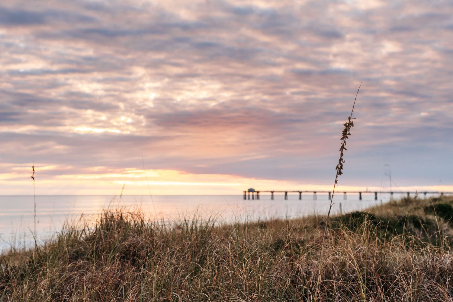 A peaceful sunset over the ocean with a pier in the distance and sea oats in the foreground.