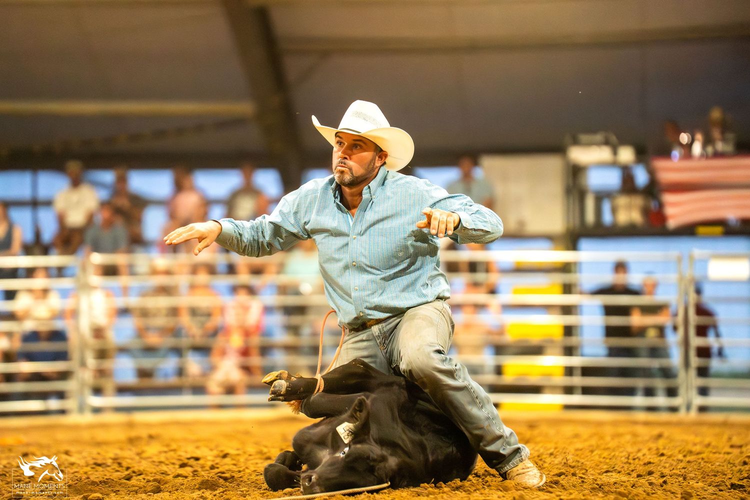 A cowboy in a blue shirt and white hat wrestling with a calf during a rodeo competition in a dusty arena.