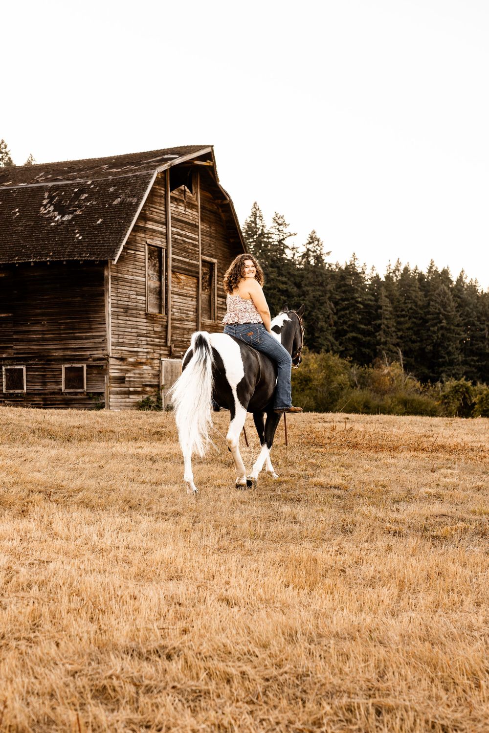 Woman riding a black and white paint horse in a golden field beside a rustic wooden barn with evergreen trees behind.