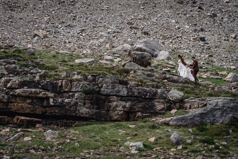 Mountain goat standing on rocky alpine terrain with scattered moss and vegetation amidst gray stone formations.