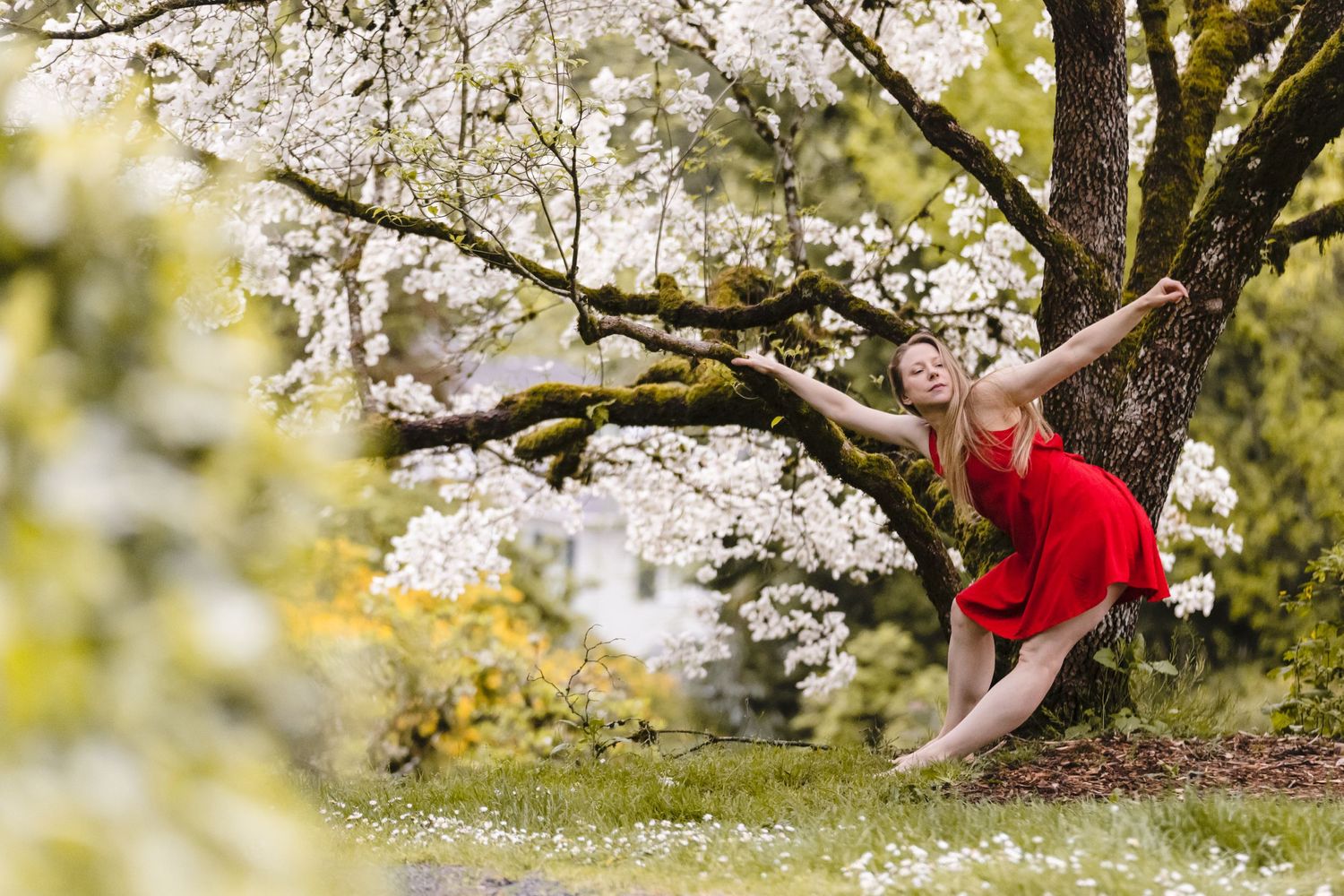 A figure in a bright red shirt crouches near blooming cherry blossom trees in a spring garden setting.