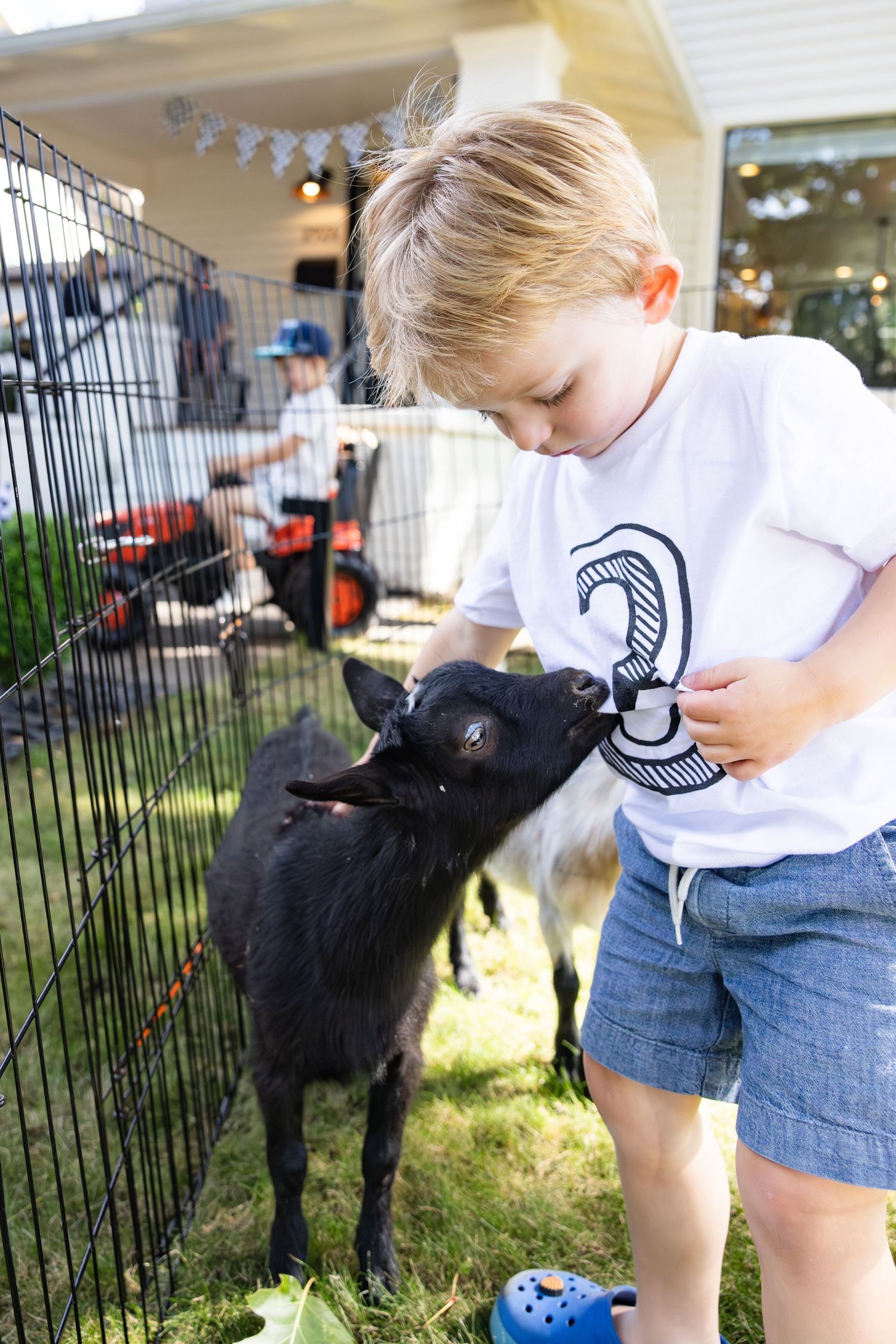 A young child in a white t-shirt pets a black goat through a wire fence during an outdoor event.