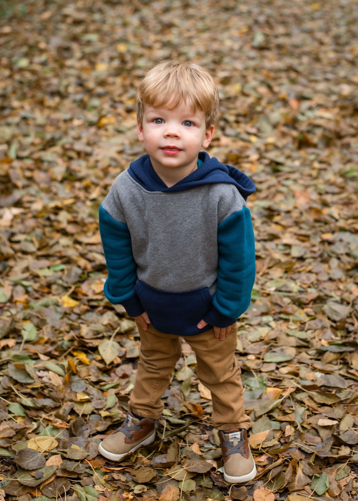 Small child stands on autumn leaves wearing a colorful hooded sweatshirt and khaki pants.