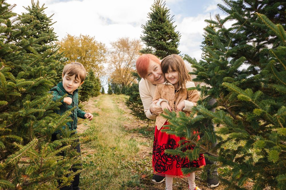 Images show holiday traditions at a Christmas tree farm with people selecting, posing by, and cutting down a fresh evergreen tree.