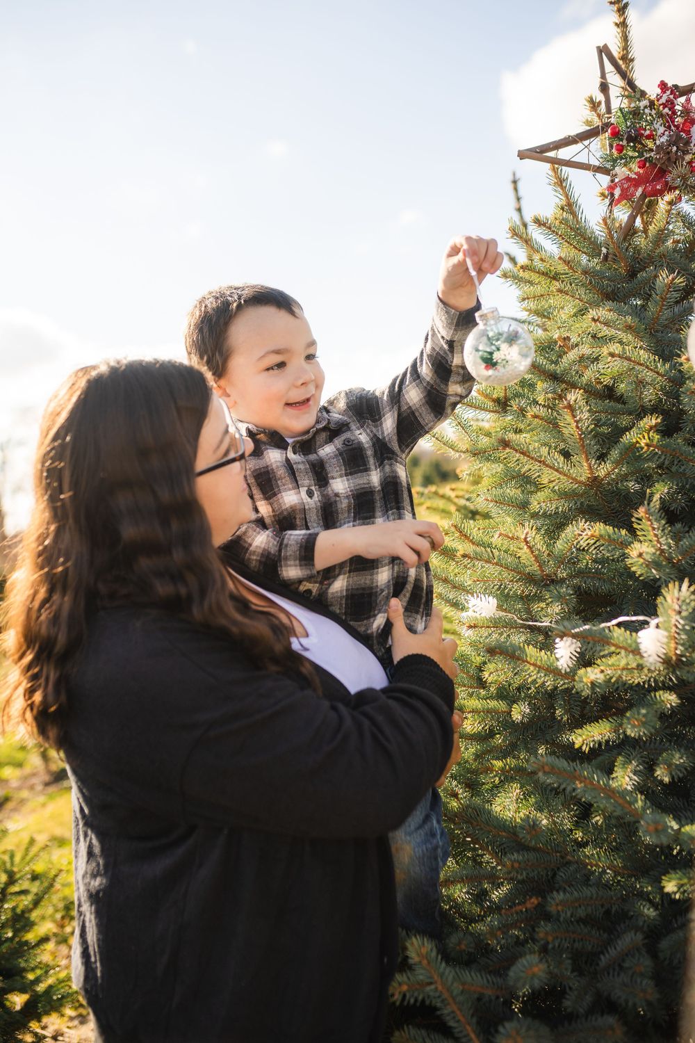 A sequence of someone hanging ornaments on a fresh Christmas tree during a sunny winter day for seasonal decoration.